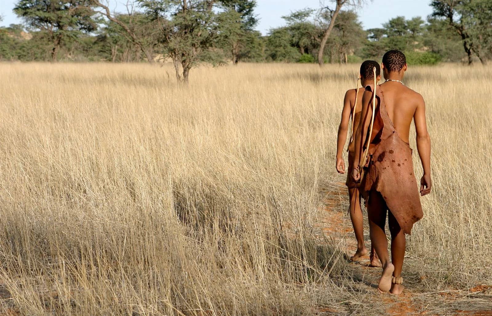 ascot private journeys CAPE TO KALAHARI TO DELTA