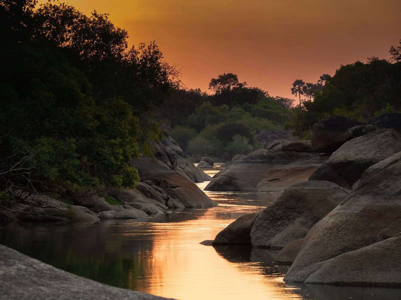 ascot private journeys ZAMBIA- THE WALKING SAFARI
