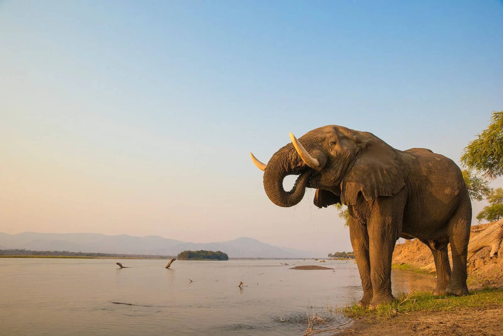 ascot private journeys ZIMBABWE- MANA POOLS & THE ZAMBEZI