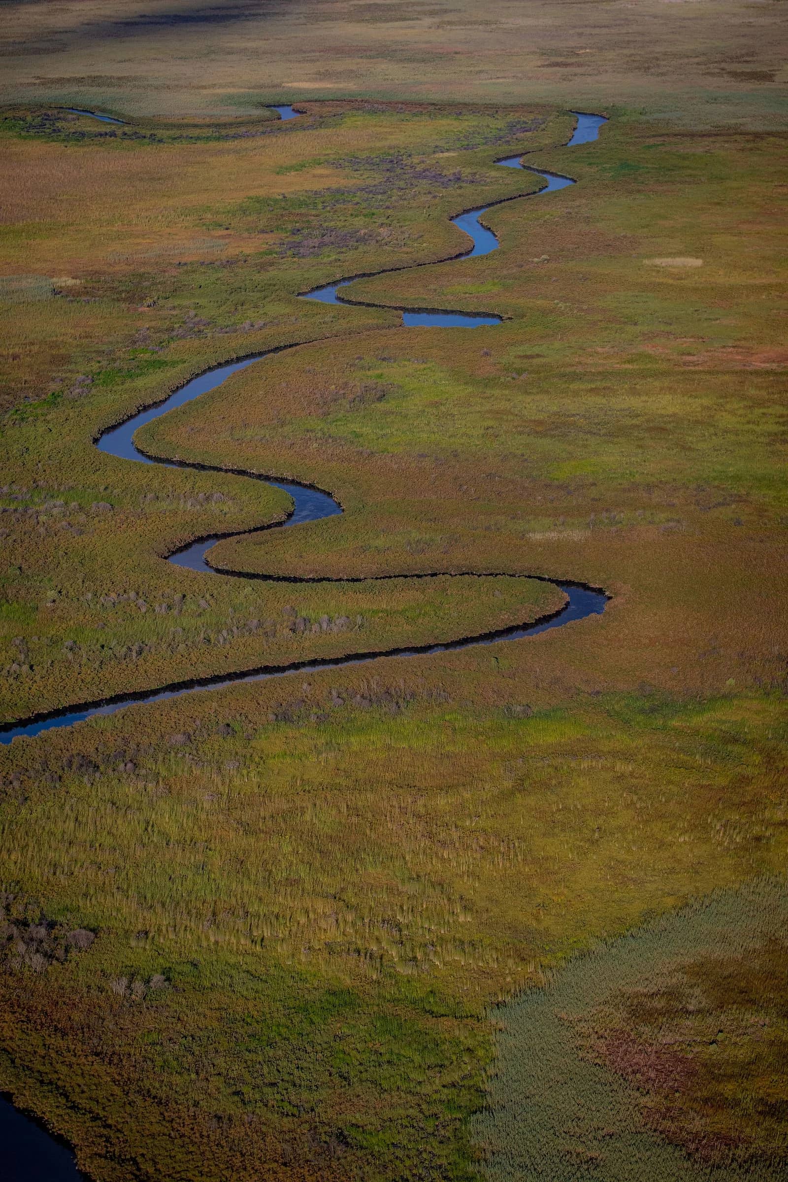 botswana Okavango Delta aerial at flood season - channels, islands, the green galaxy