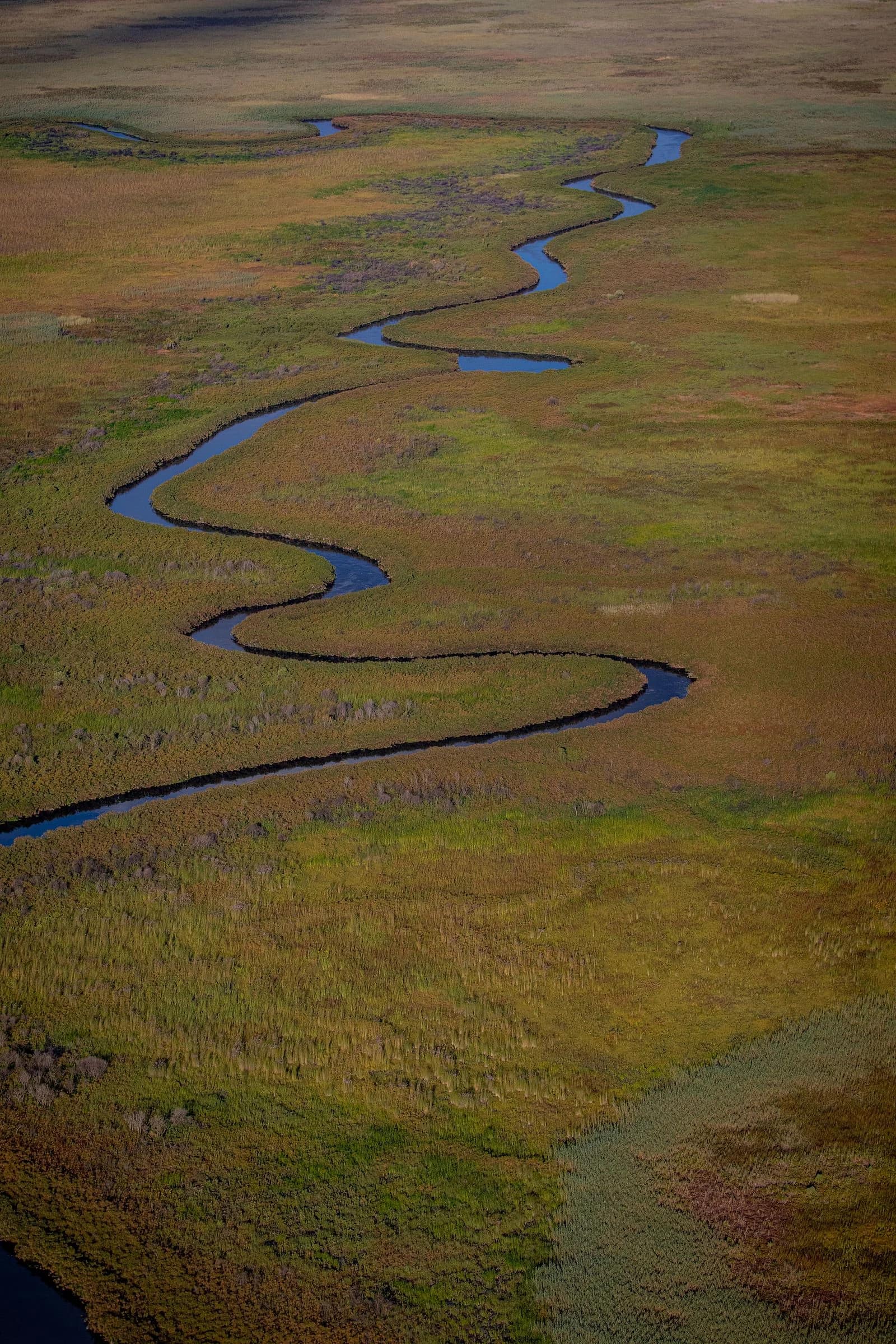 botswana Okavango Delta aerial at flood season - channels, islands, the green galaxy