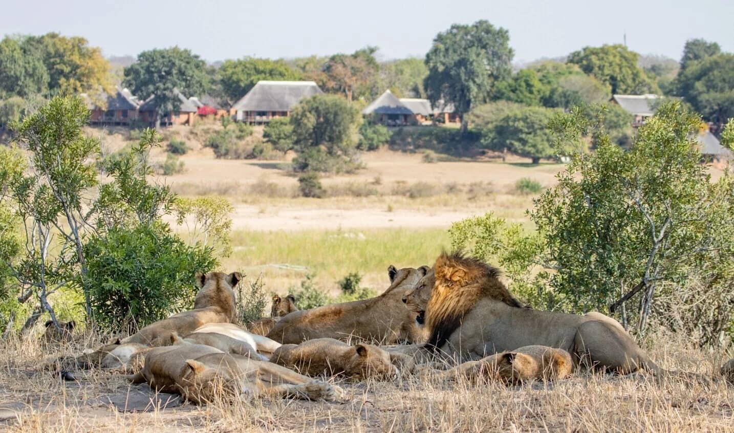 ascot private properties MalaMala Main Camp
