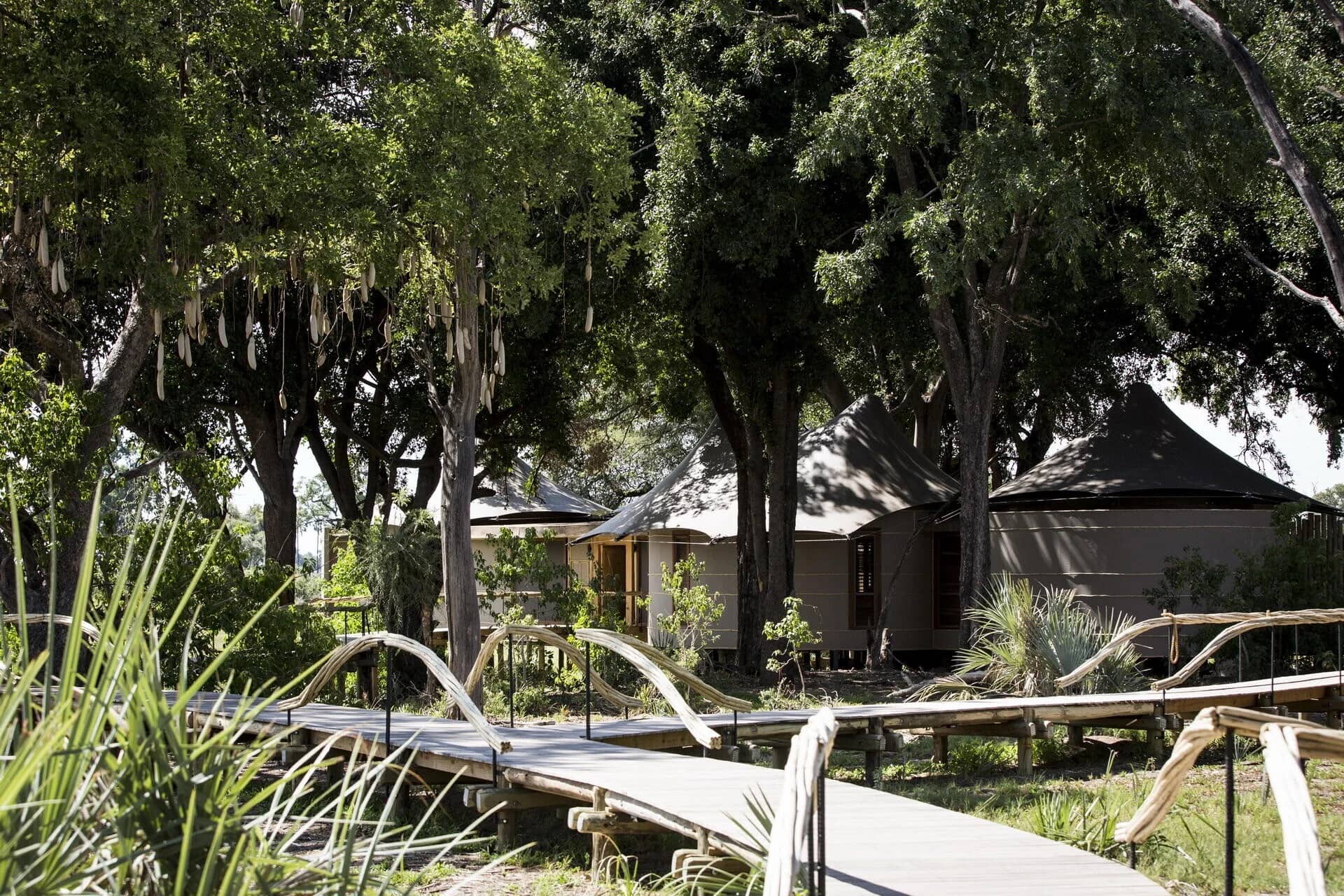 ascot private properties Mombo Camp