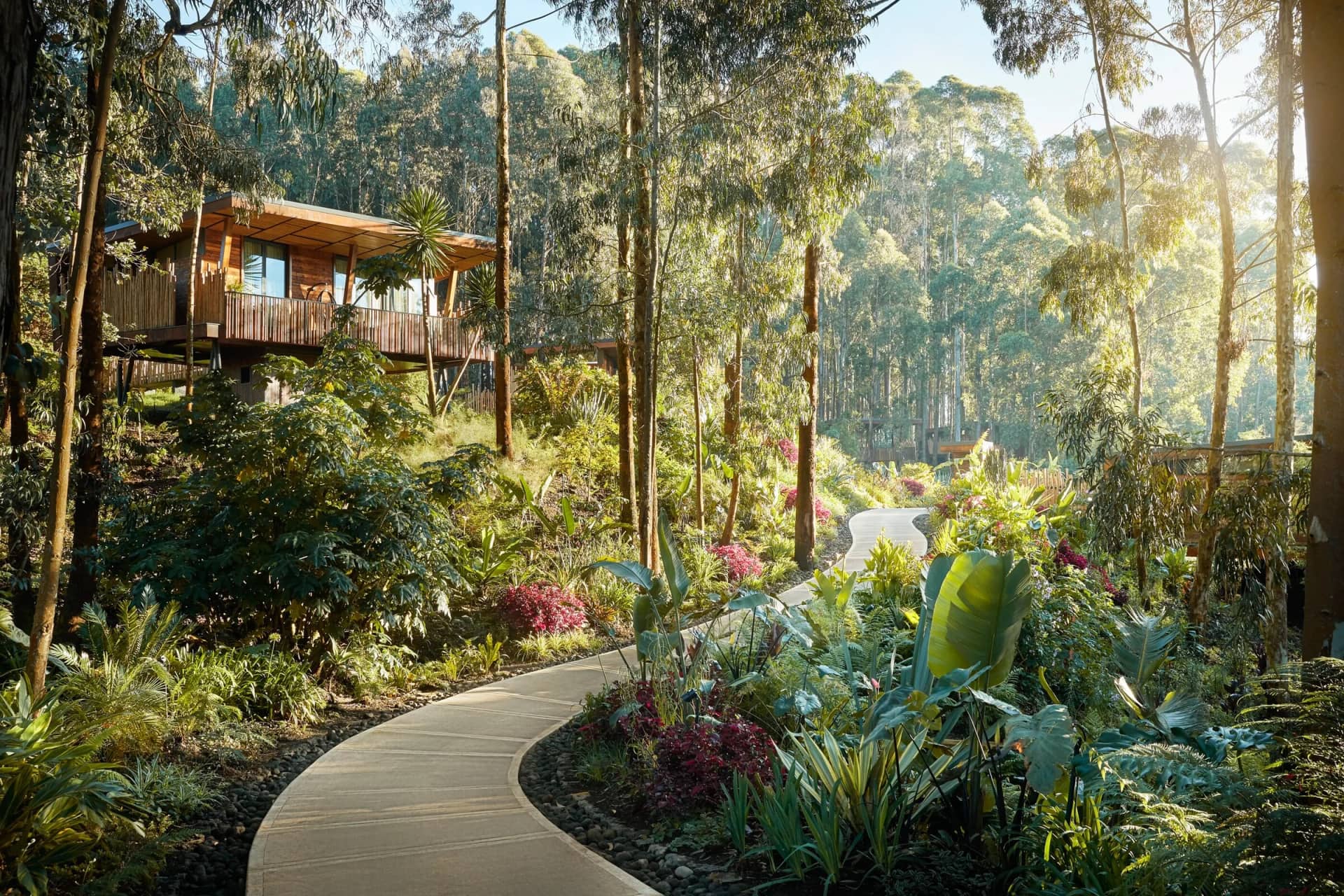 ascot private properties One& Only Gorilla' s Nest