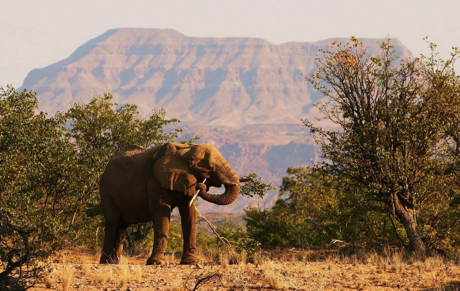 ascot private journeys EAST AFRICA COMPLETE